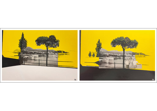 Michele Rigoni | METAMORFOSI